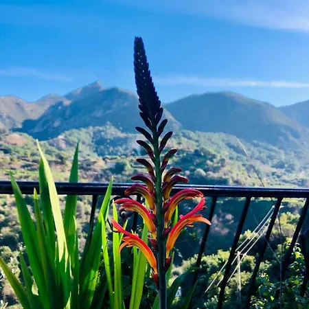 Casa Verde Homestay szállás Istán