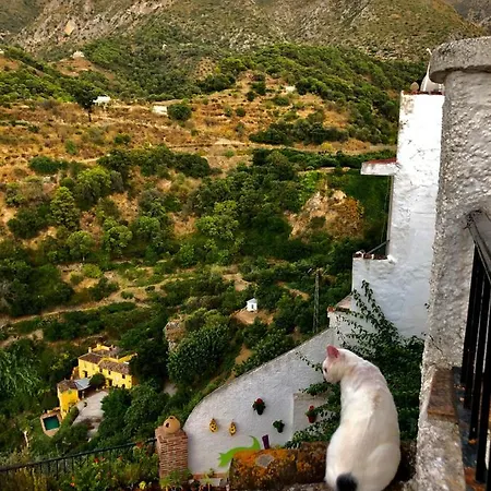 Casa Verde إيستن